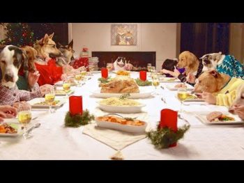 Viral Video: Τι γίνεται όταν βρεθούν 13 σκύλοι και μια γάτα σε ένα εορταστικό τραπέζι;
