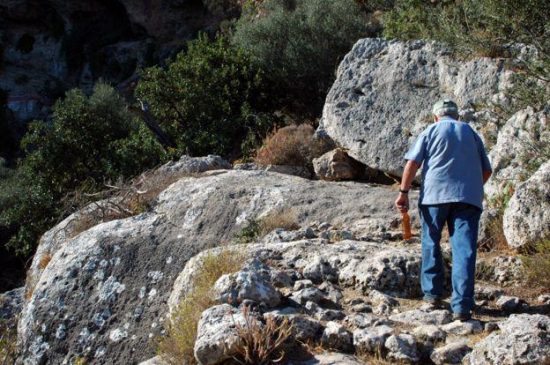 BBC: “Οι Έλληνες συνταξιούχοι θα τρέφονται με άγρια χόρτα για να επιβιώσουν”