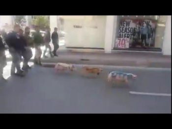 Οι αγρότες, ο ΣΥΡΙΖΑ και τα… 3 γουρουνάκια (video)