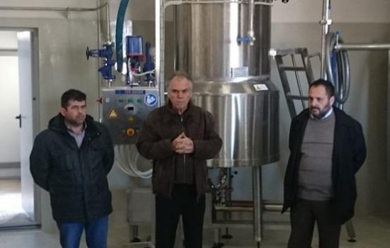 Έξυπνα κέρδη : Έτσι θα βγάλουμε 3,6 εκ ευρώ από την παραγωγή Στέβιας