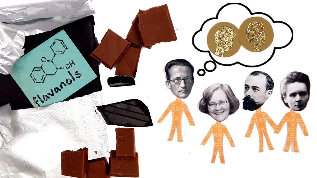 chocolate and flavonols