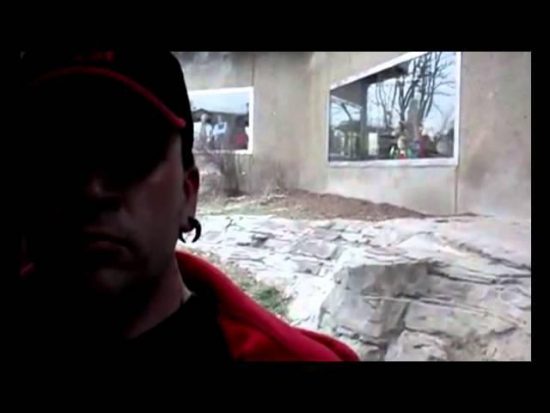 Video – ΣΟΚ: Τρομαχτική επίθεση γορίλα σε ανυποψίαστο τουρίστα (vid)