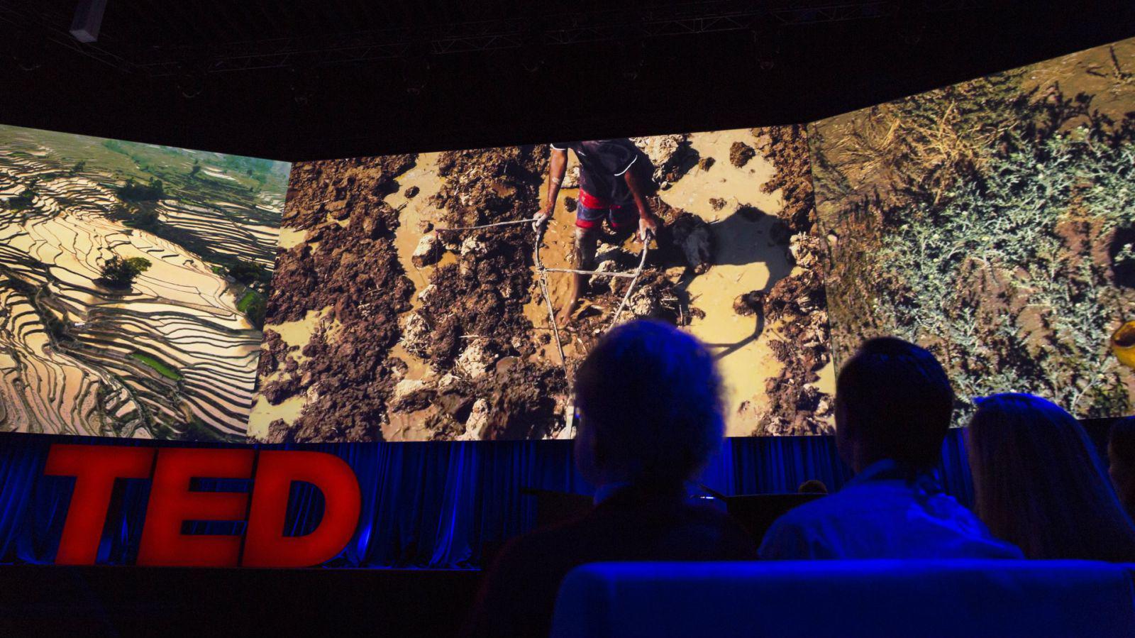 Το TED σας προτείνει: Δείτε τα 6 αυτά μικρά videos, για να χαλαρώσει το μυαλό σας!