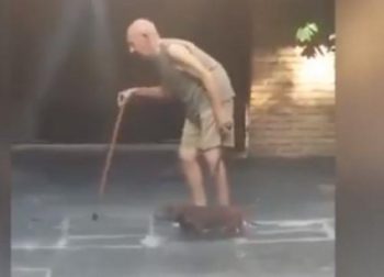 Δείτε το συγκινητικό video με τον πιο υπομονετικό σκύλο στον πλανήτη! (vid)