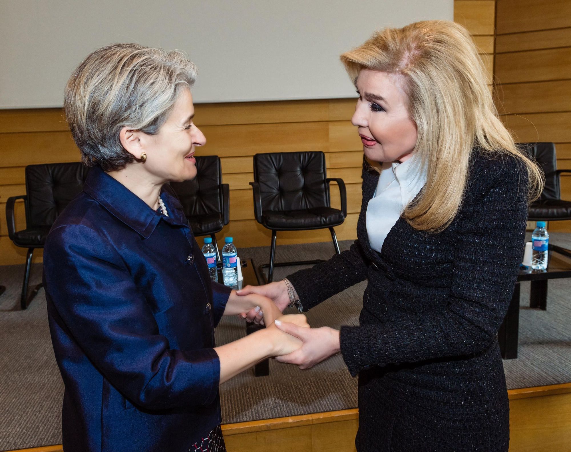 Μαριάννα Β. Βαρδινογιάννη, Irina Bokova 