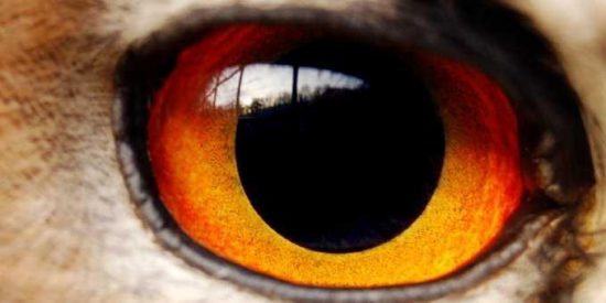 Ηλεκτρονικό «μάτι» από Εφορία και Κτηματολόγιο θα εντοπίζει αδήλωτα τετραγωνικά και ακίνητα
