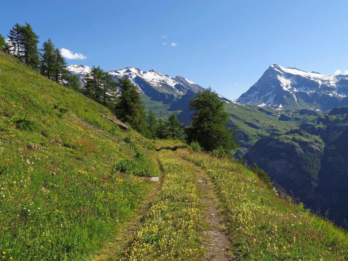 1-switzerland-066