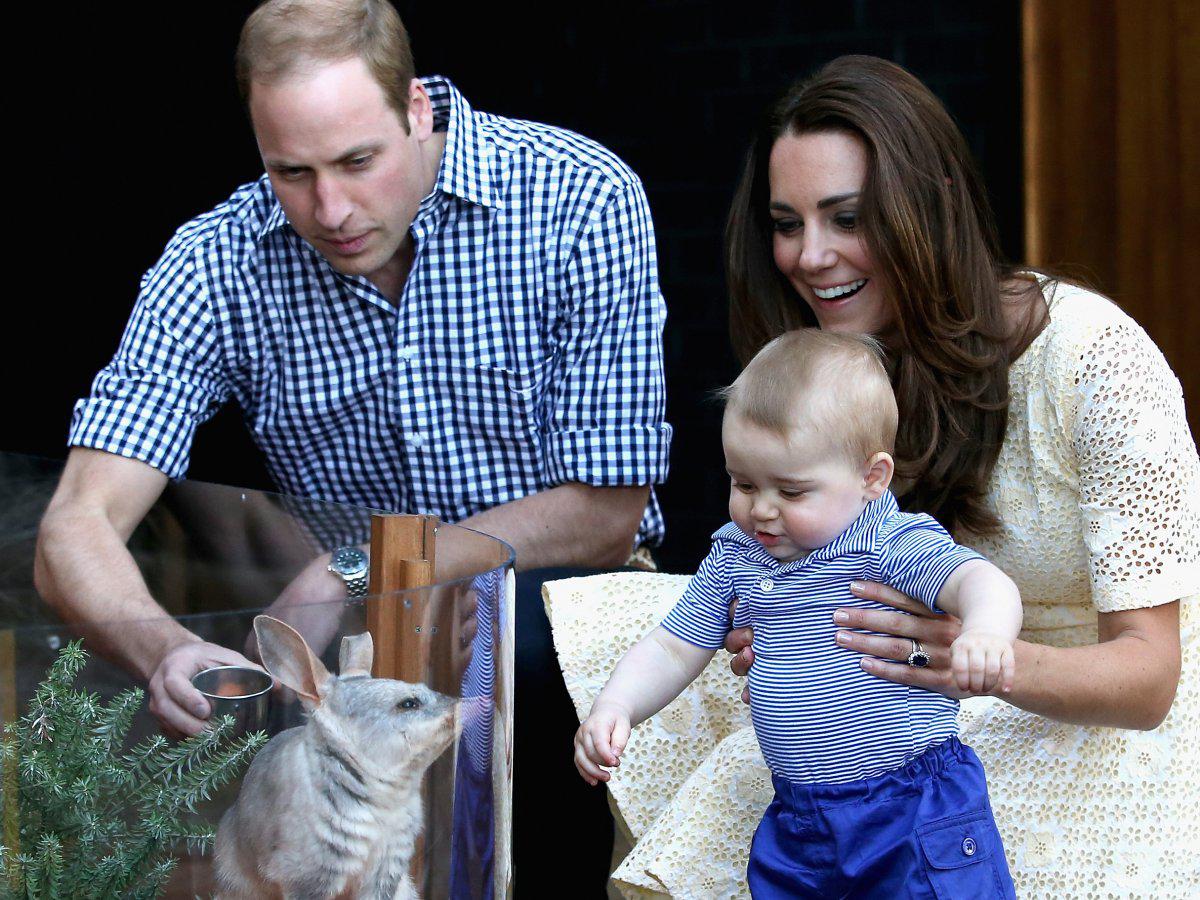 prince george 11