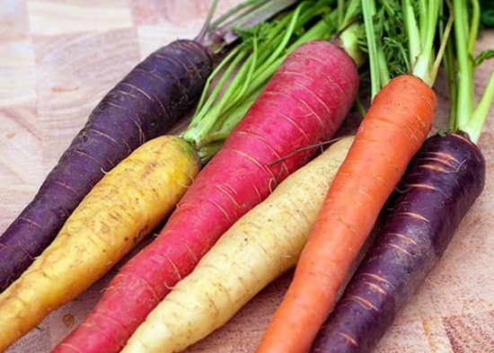 Superfoods Οκτωβρίου: Αυτές είναι οι υπερτροφές που πρέπει να μπουν στο πιάτο σας!