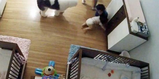 Απίστευτο: Εννιάχρονος έπιασε στον αέρα τον μικρό αδελφό του και του έσωσε τη ζωή (video)