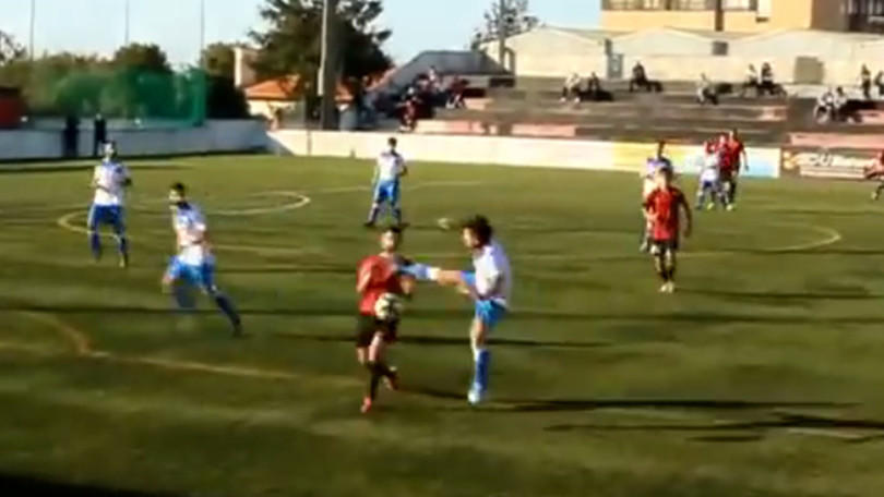 canelas2