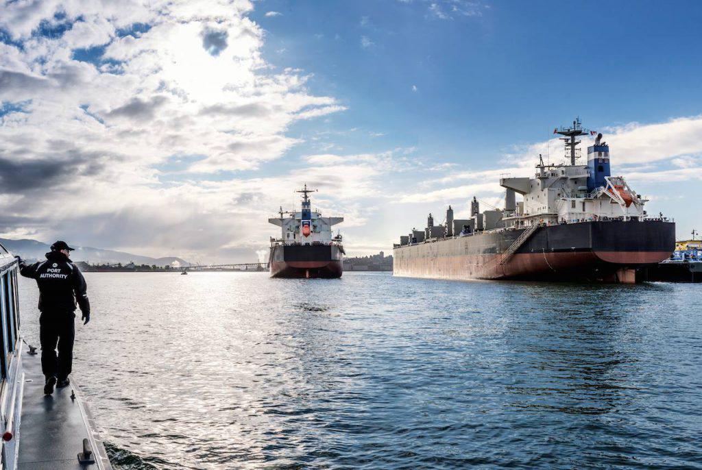 ναυτιλία dry bulk στόλος