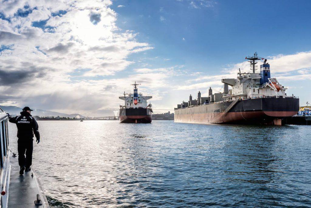 ναυτιλία dry bulk στόλος