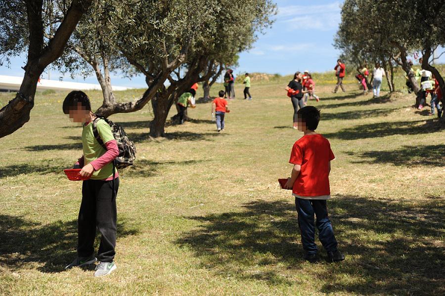 Τα παιδιά συμμετέχουν σε δραστηριότητες