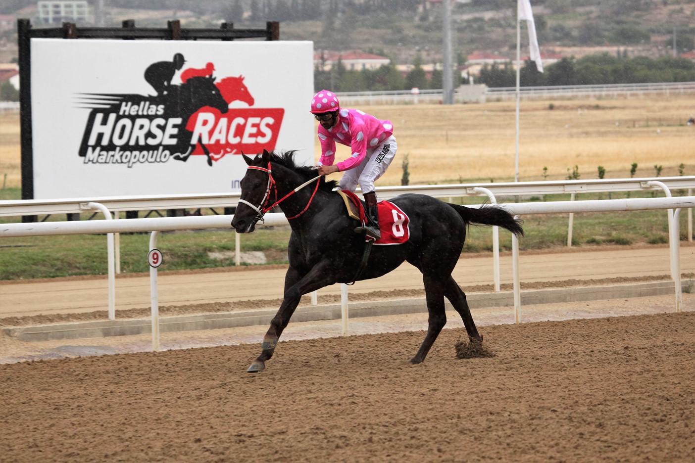 Champagne Syndication