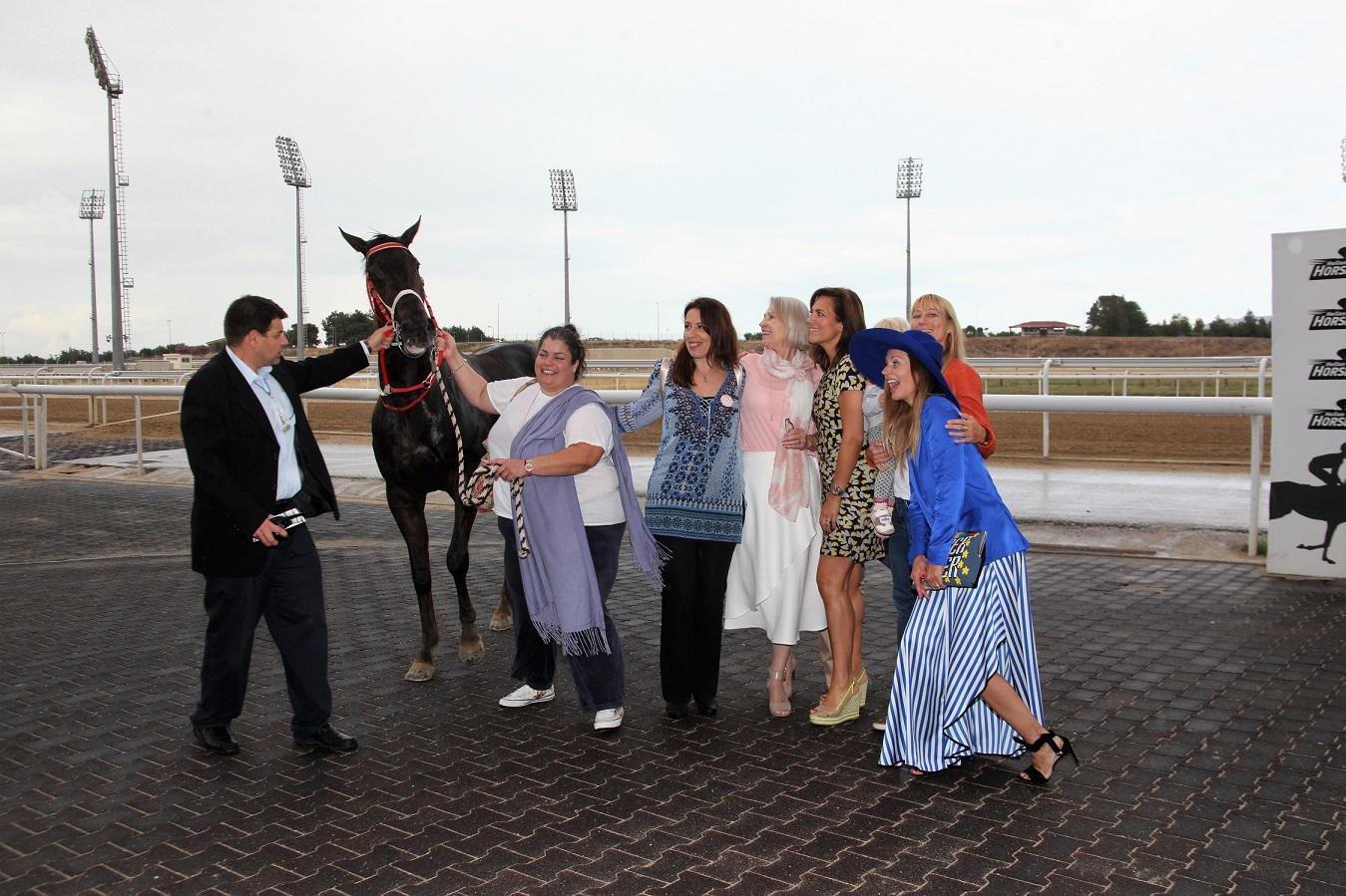 Champagne Syndication