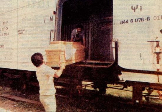 Τρόμος στην Αθήνα – Έρχονται μνήμες του 1987 με τους 1.500 νεκρούς από τον καύσωνα (pics)