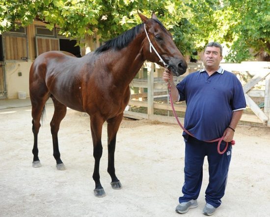 Αντίστροφη μέτρηση για το 71ο ελληνικό ντέρμπι ΟΠΑΠ στον ιππόδρομο 5 ημέρες για τη μεγάλη ημέρα!