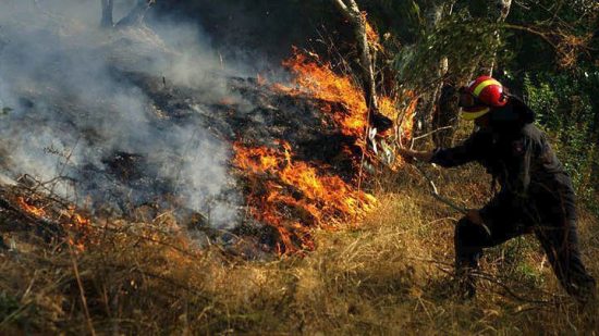 Πυρκαγιά στο Κρυονέρι Αττικής