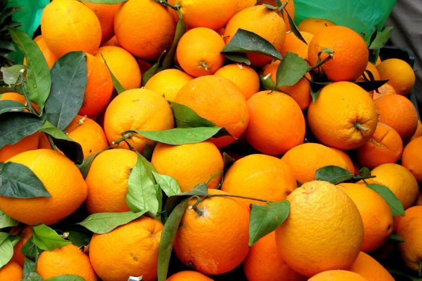 πορτοκάλια