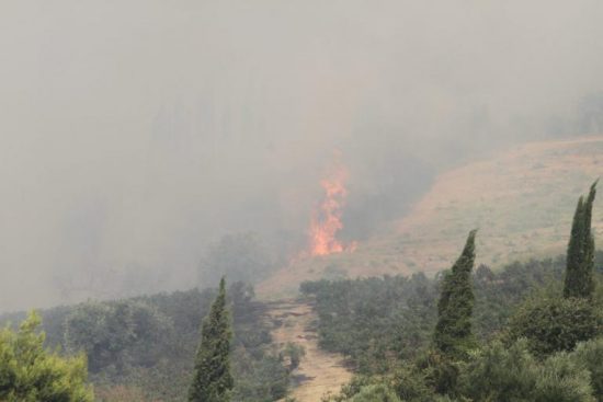 Υπάλληλος του υπ. Εργασίας ο επίδοξος εμπρηστής της Πάρνηθας
