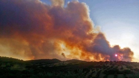 Μεγάλη πυρκαγιά στην Αλόννησο – Εκκενώθηκε ξενοδοχείο