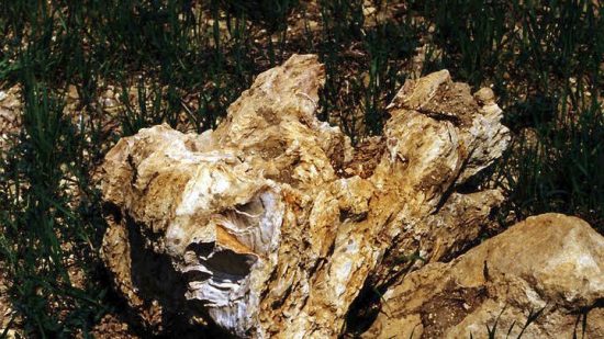 O αναξιοποίητος πλούτος της χώρας μας