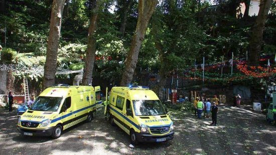 Απίστευτη τραγωδία: 11 προσκυνητές νεκροί από πτώση δένδρου στην Πορτογαλία (video)