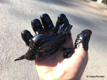 Μήνυση από το WWF Ελλάς κατά παντός υπευθύνου για τη ρύπανση στο Σαρωνικό