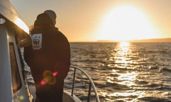 WWF: Οι θαλάσσιοι πόροι της Μεσογείου εξαντλούνται