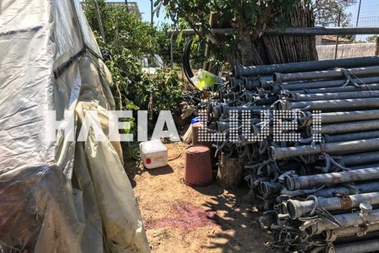 Ηλεία: Τραγικό θάνατο βρήκε 86χρονος από αλυσοπρίονο (video)
