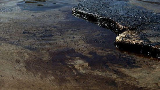 Στελέχη του Λιμένα του Ρότερνταμ: Έγινε καλή δουλειά για την αντιμετώπιση της ρύπανσης