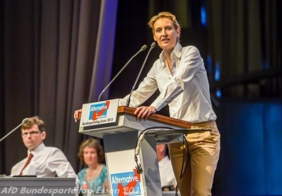 Αυτοί είναι οι ακροδεξιοί του AfD που συντάραξαν την Ευρώπη