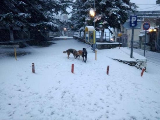 Λάρισα: Εντυπωσιακές εικόνες από τα χιονισμένα ορεινά της πόλης