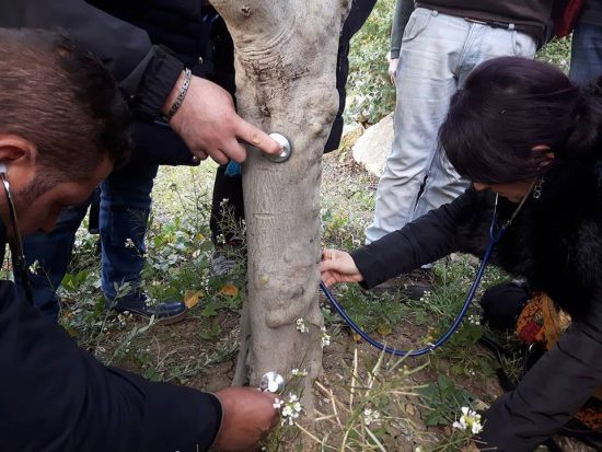 Σεμινάριο Άγρο-Oμοιοπαθητικής, “Στην καρδιά της φύσης”