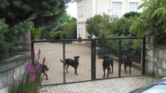 Κοζάνη: Αποζημίωση στην μητέρα του 5χρονου Στάθη, που κατασπαράχθηκε από ροντβάιλερ