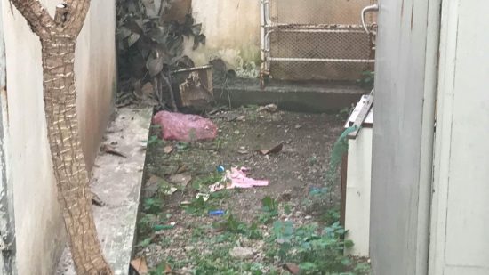 Νέα Σμύρνη: Ψυχιατρική πραγματογνωμοσύνη θα ζητήσει η 22χρονη φοιτήτρια που πέταξε το μωρό της