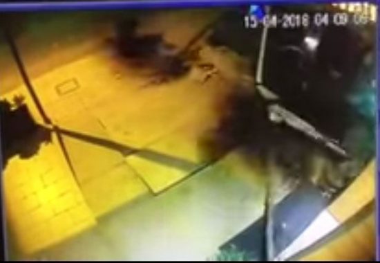 Καρέ-καρέ η «εισβολή» λεωφορείου σε καφετέρια στη Θεσσαλονίκη – 4 τραυματίες από το τροχαίο (video)