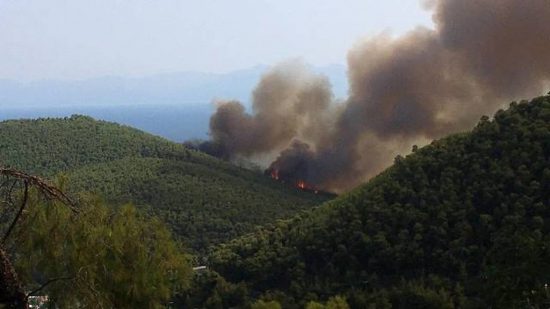 Δύο ανήλικοι προσήχθησαν για εμπρησμό στη Χαλκιδική