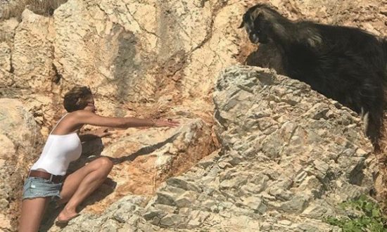 Τα πιο αστεία tweets για την διάσωση… κατσίκας από την Τζένη Μπαλατσινού