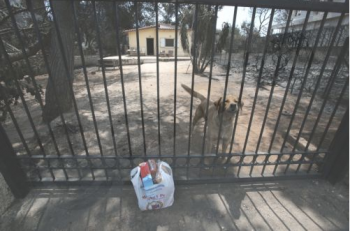 Εισαγγελέας για τη βοήθεια στους πυρόπληκτους στο Μάτι