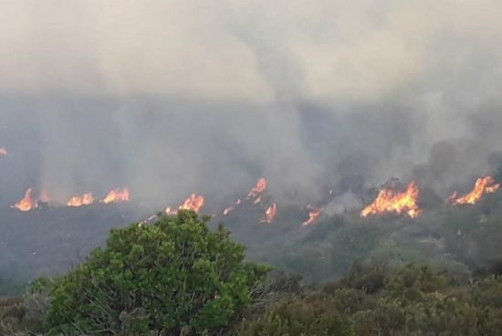 Μεγάλη πυρκαγιά σε εξέλιξη στην Ηλεία – Καίγονται σπίτια (video)