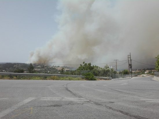 Εξακόσια στρέμματα καμένα άφησαν πίσω τους οι φωτιές στην Κρήτη