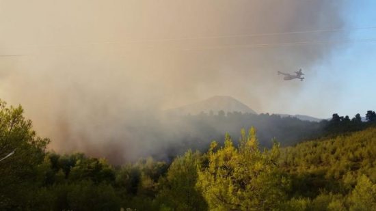 Έτσι σώθηκαν από τη φονική πυρκαγιά τα 620 παιδιά της κατασκήνωσης (video)