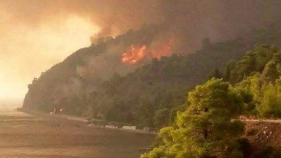 Μεγάλη πυρκαγιά κοντά στον Σταυρό Εύβοιας