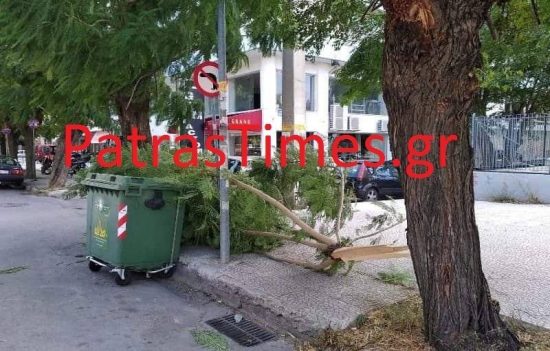 Πάτρα: Το… στίγμα του άφησε ο «Ξενοφών» – Πτώσεις δέντρων στην πόλη (pics)