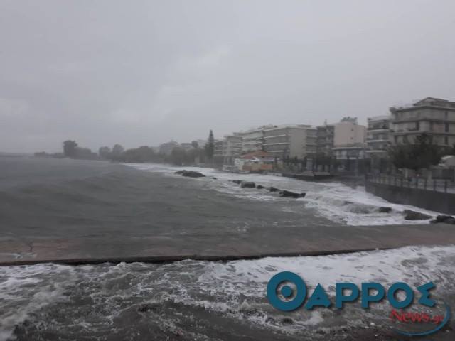 καλαματα_ζορμπας