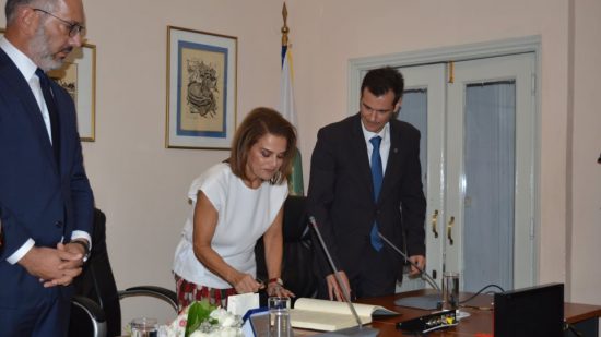 Επίτιμη δημότης Χίου η πρόεδρος του ΠΙΟΠ Σοφία Στάικου