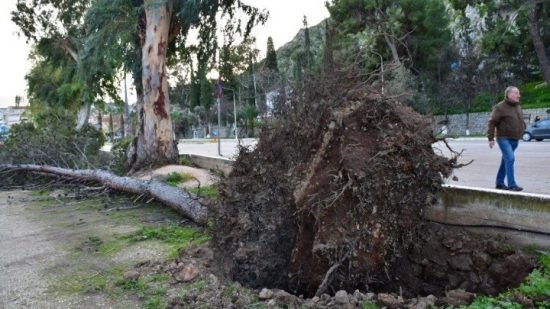 Προβλήματα στην Αττική από τους ισχυρούς ανέμους – Πάνω από 100 κλήσεις στην Πυροσβεστική
