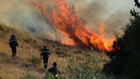 Στροφυλιά: Κάηκαν ολοσχερώς 2.000 στρέμματα σπάνιου οικοσυστήματος – υποχωρεί η πυρκαγιά